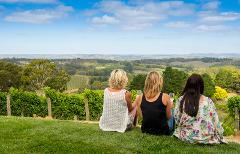 Adelaide Hills Wine Experience - Private Tour