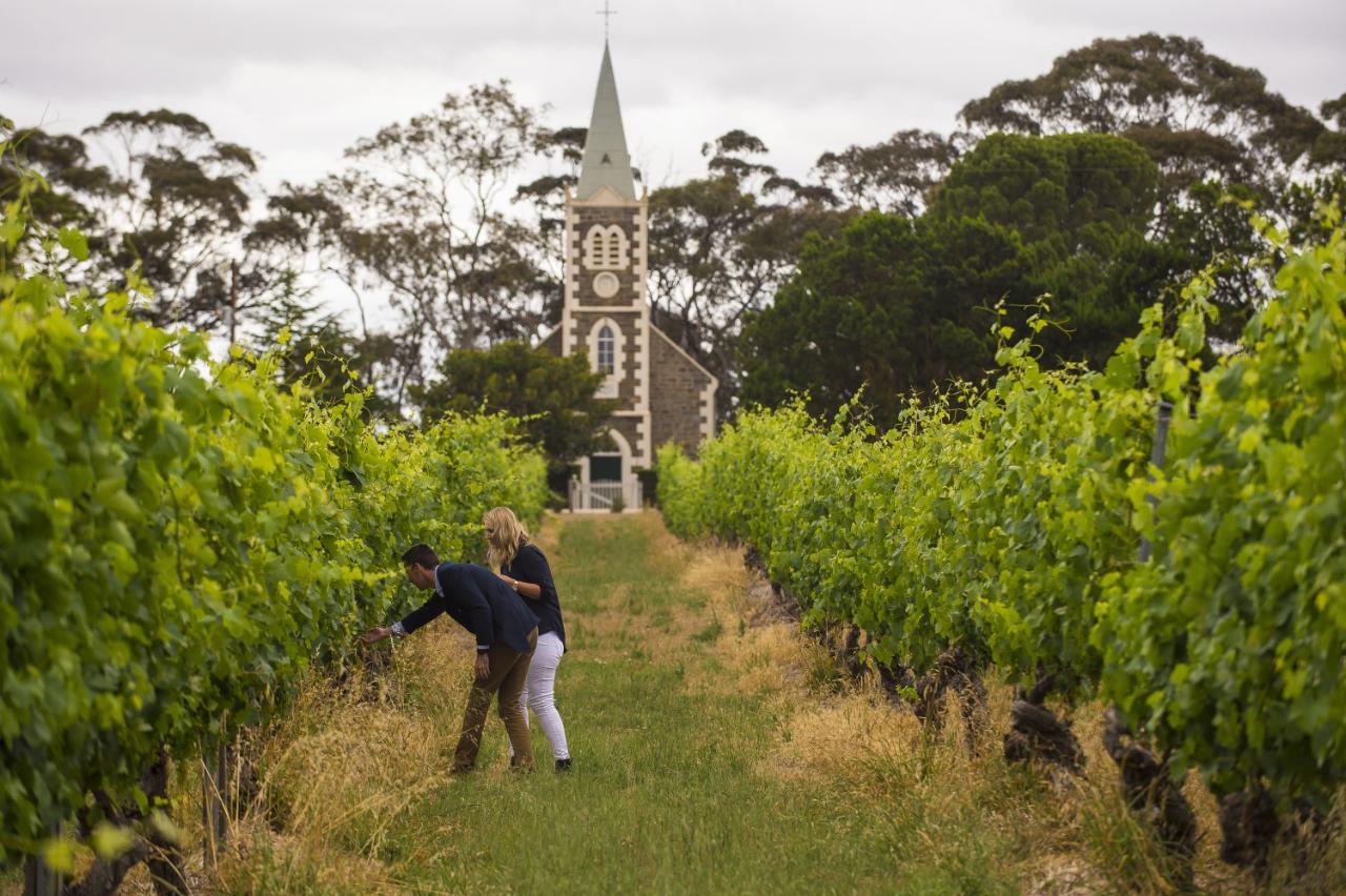 Barossa - The Pinnacle Ultimate Wine Tour