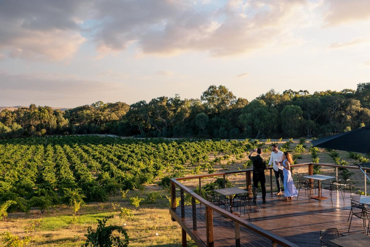 Ultimate Wineries Barossa Valley - Private Wine Tour