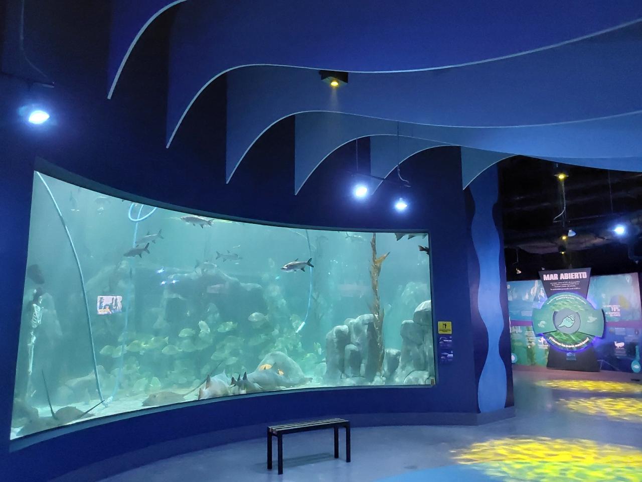 Capital Bus + Acuario Michin