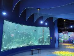 Capital Bus + Acuario Michin