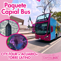 PAQUETE: BRAZALETE CITY TOUR 2 DÍAS +ACUARIO INBURSA + MIRADOR TORRE