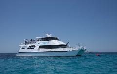 Rottnest Island Boat Charter, Dive & Snorkel (Private Booking)