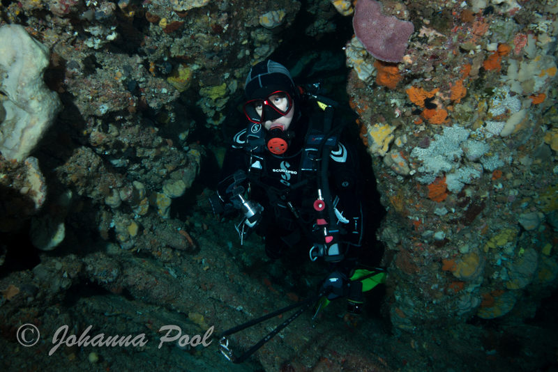 Rottnest Island (Wadjemup) Night Dive