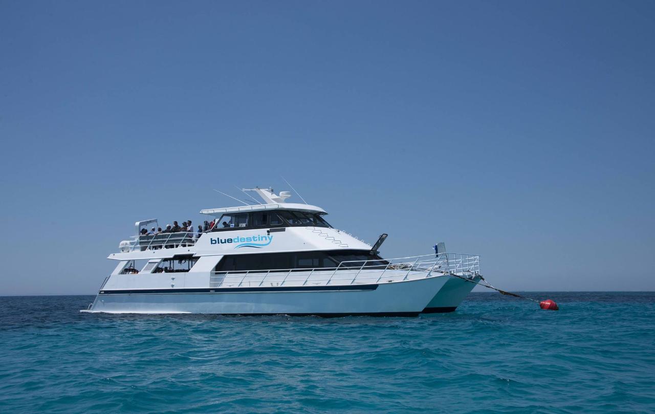 Ocean Cruise, Boat Charter  (Private Booking)