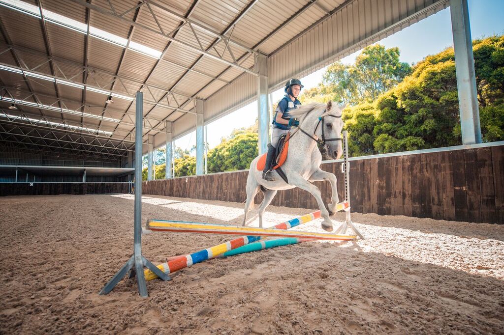 XX NOT IN USE - Show Jumping Program - Level 1