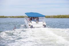 2 Hour Private Sightseeing/Dolphin Cruise (12 Passengers or Less) "Good Vibes" 