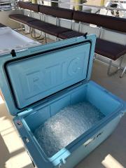2 Hour Private Sightseeing /Dolphin Cruise- Pontoon