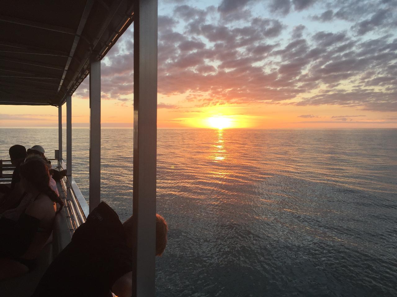 2 Hour Public Sunset Dolphin Cruise- Departure Bonita Bay Location
