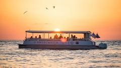 2 Hour Private Sunset Dolphin Cruise (13-30 Passengers) 
