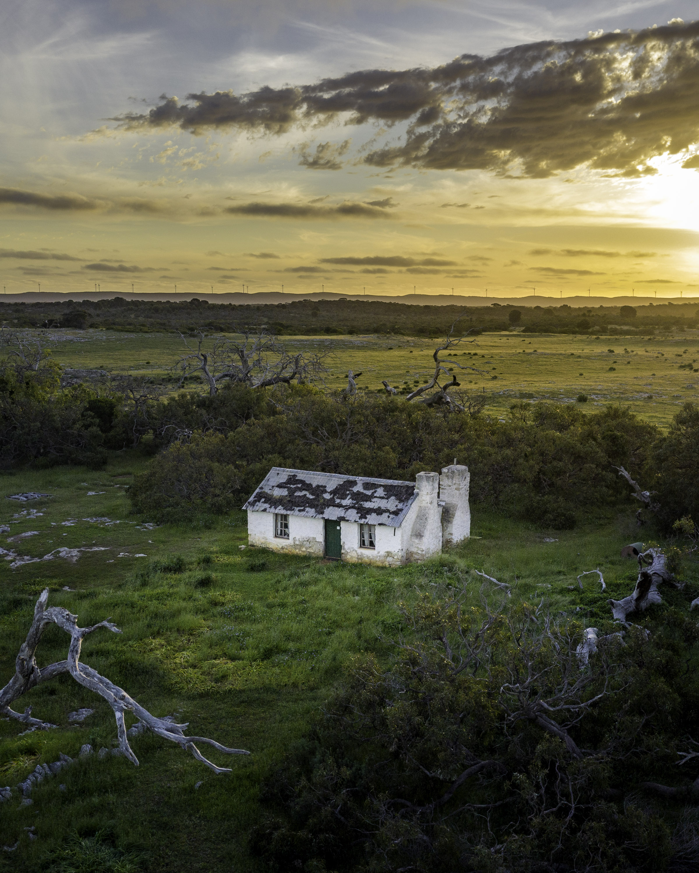 4WD & Wildlife Adventure - Half Day