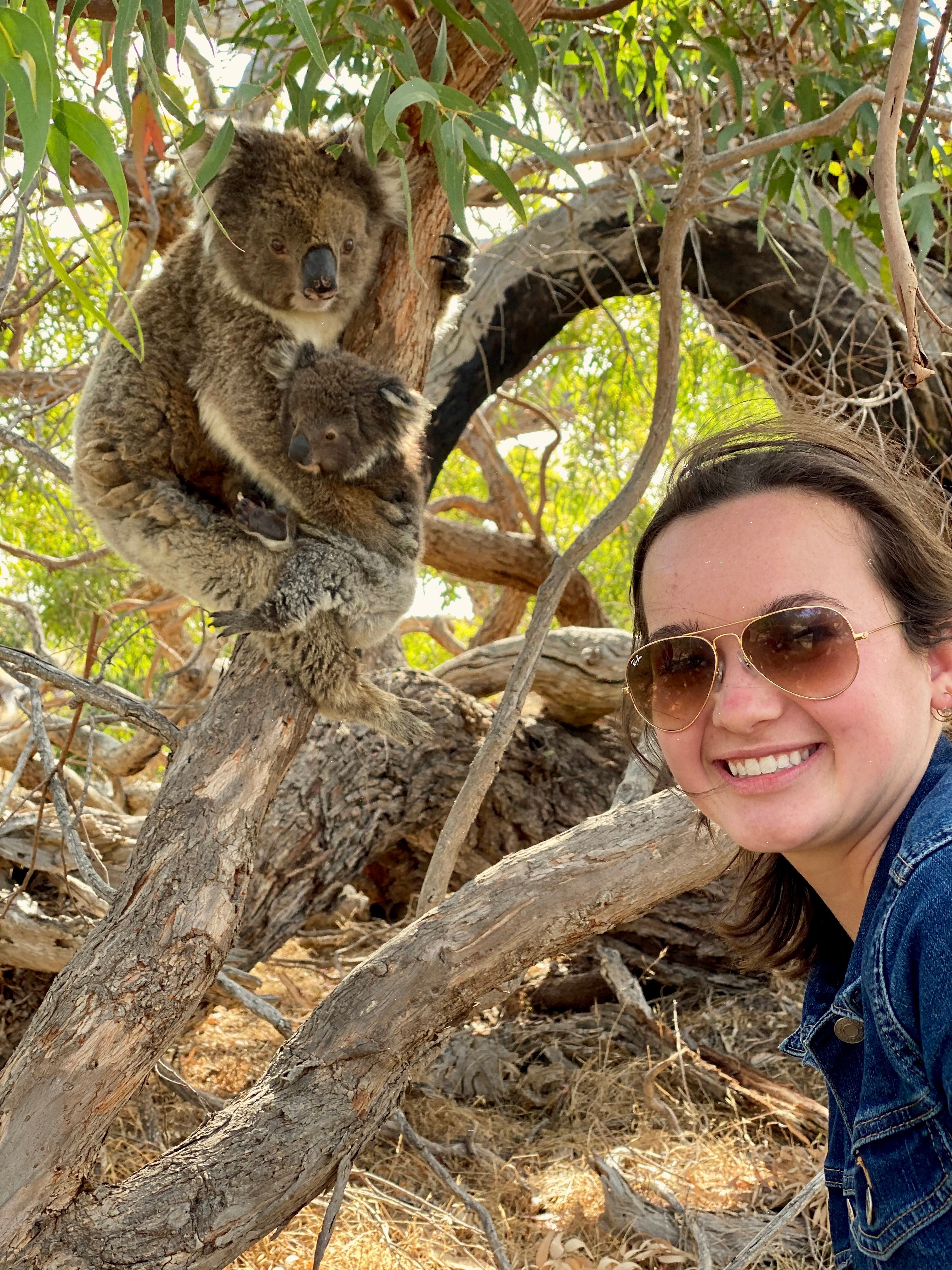 Exceptional Port Lincoln, Seafood and Wildlife Tour