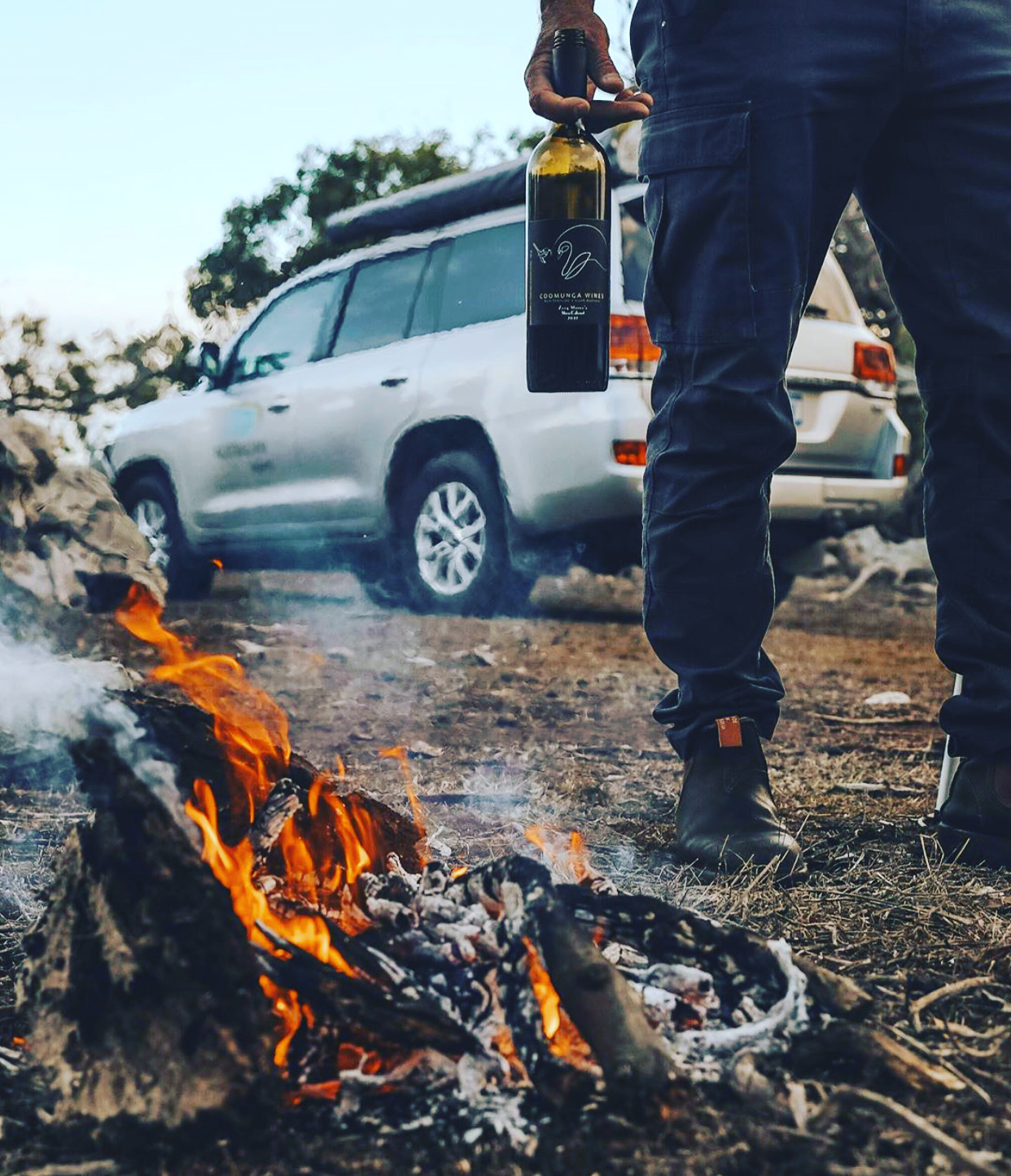 Exceptional Port Lincoln, Seafood and Wildlife Tour - Full Day