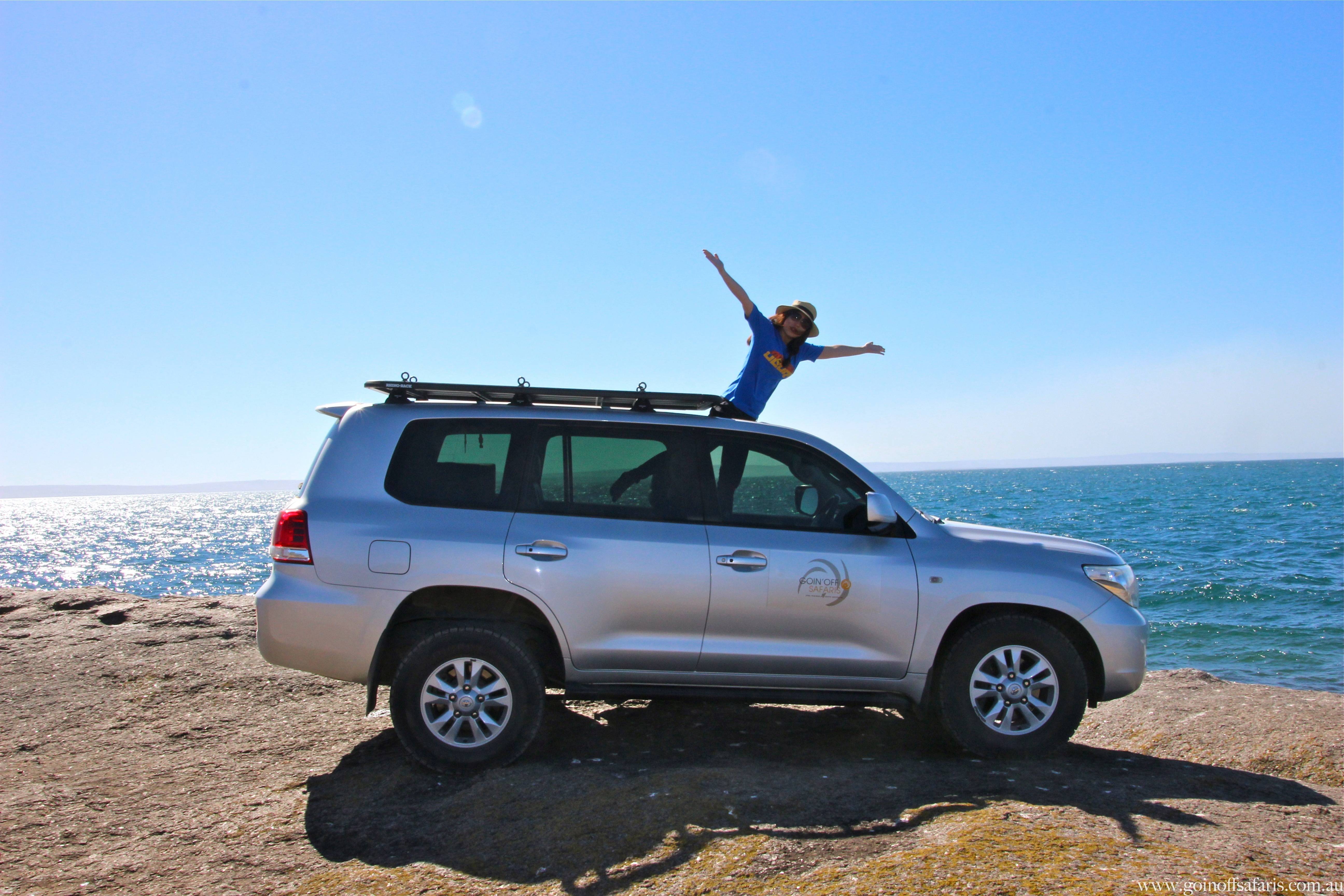 Exceptional Port Lincoln, Seafood and Wildlife Tour