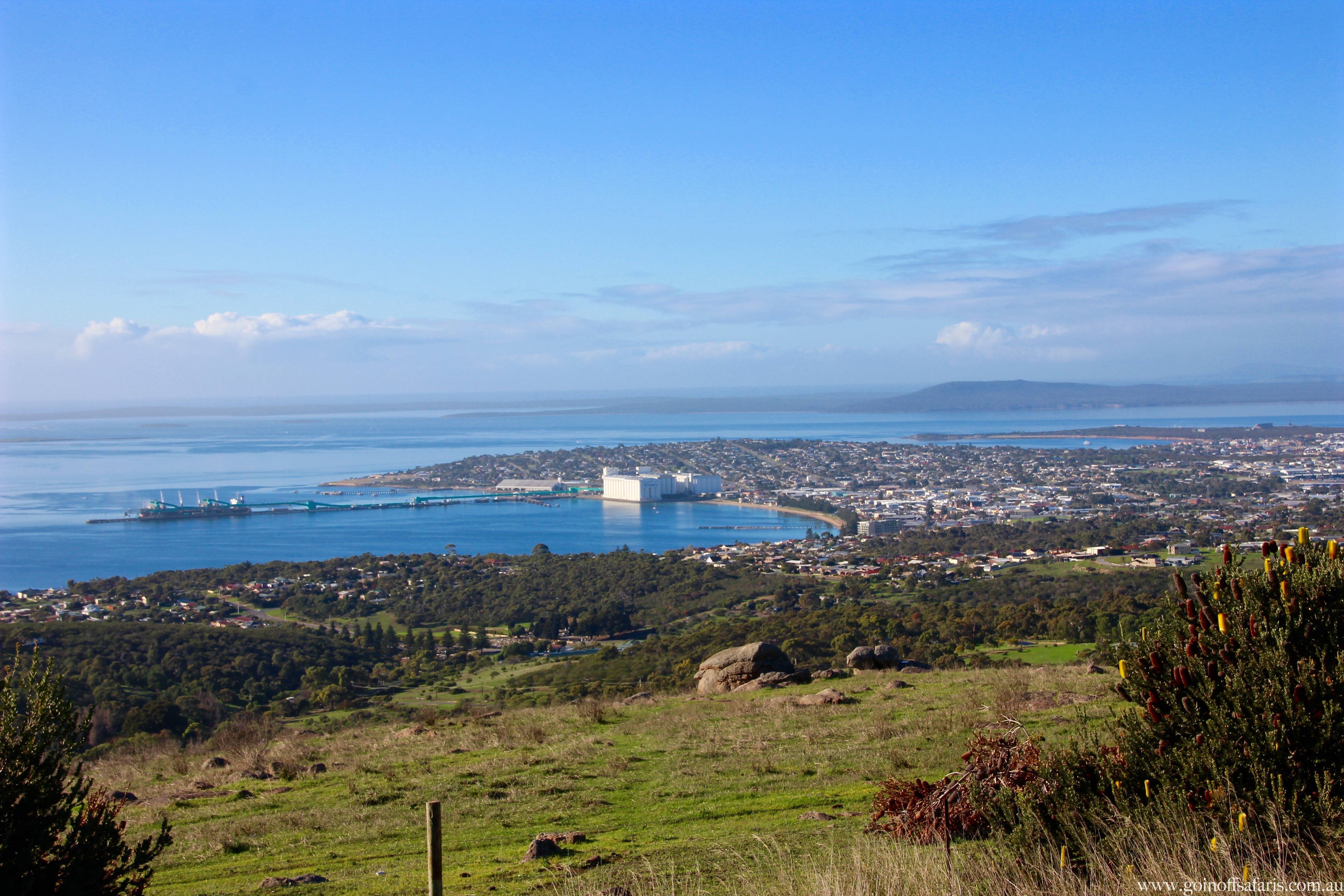 Exceptional Port Lincoln, Seafood and Wildlife Tour