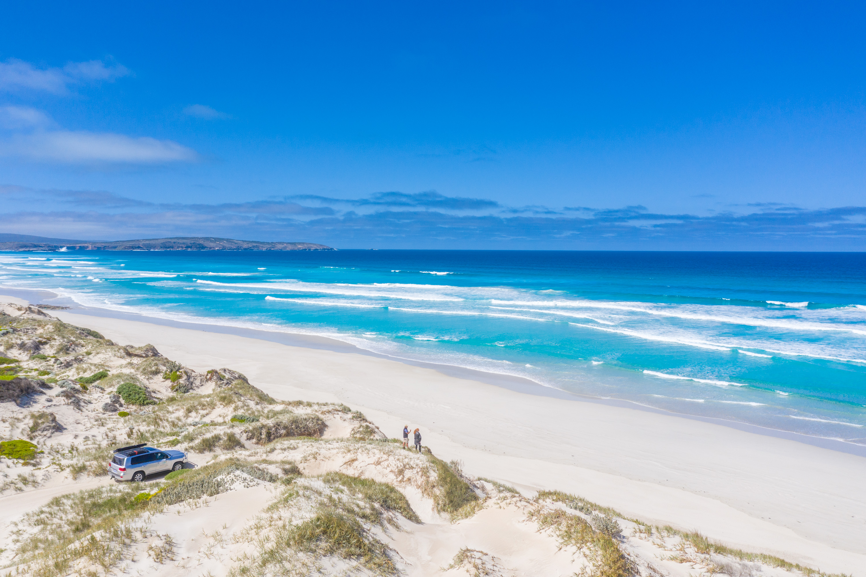 4WD & Wildlife Adventure - Half Day