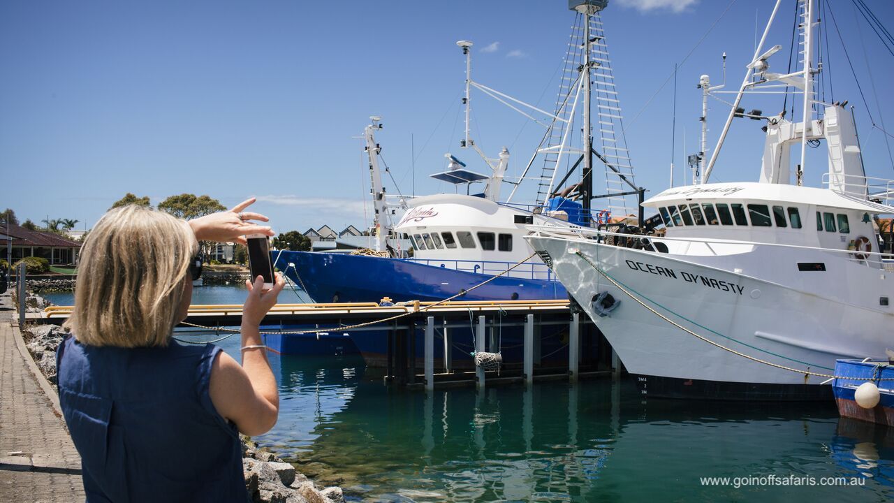 Exceptional Port Lincoln, Seafood and Wildlife Tour