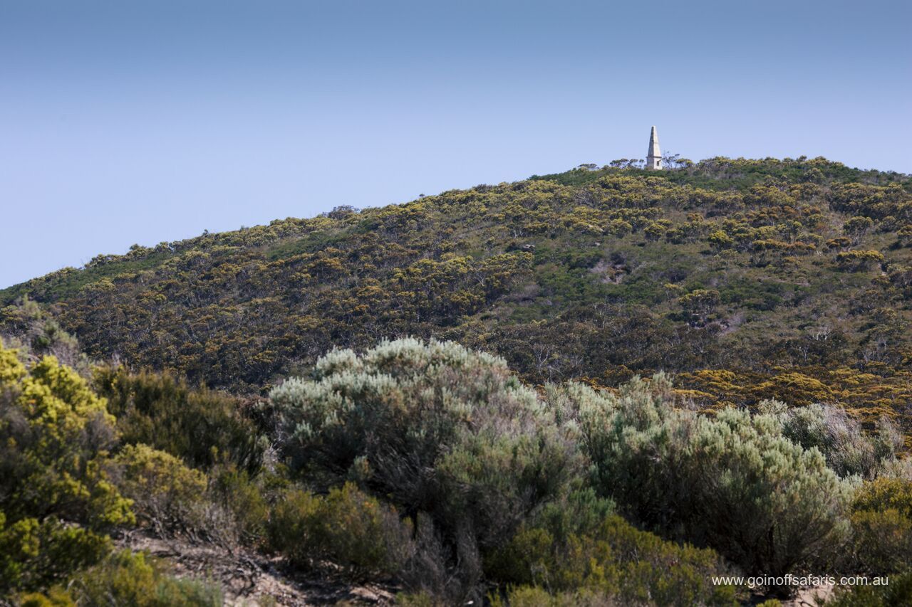 Exceptional Port Lincoln, Seafood and Wildlife Tour