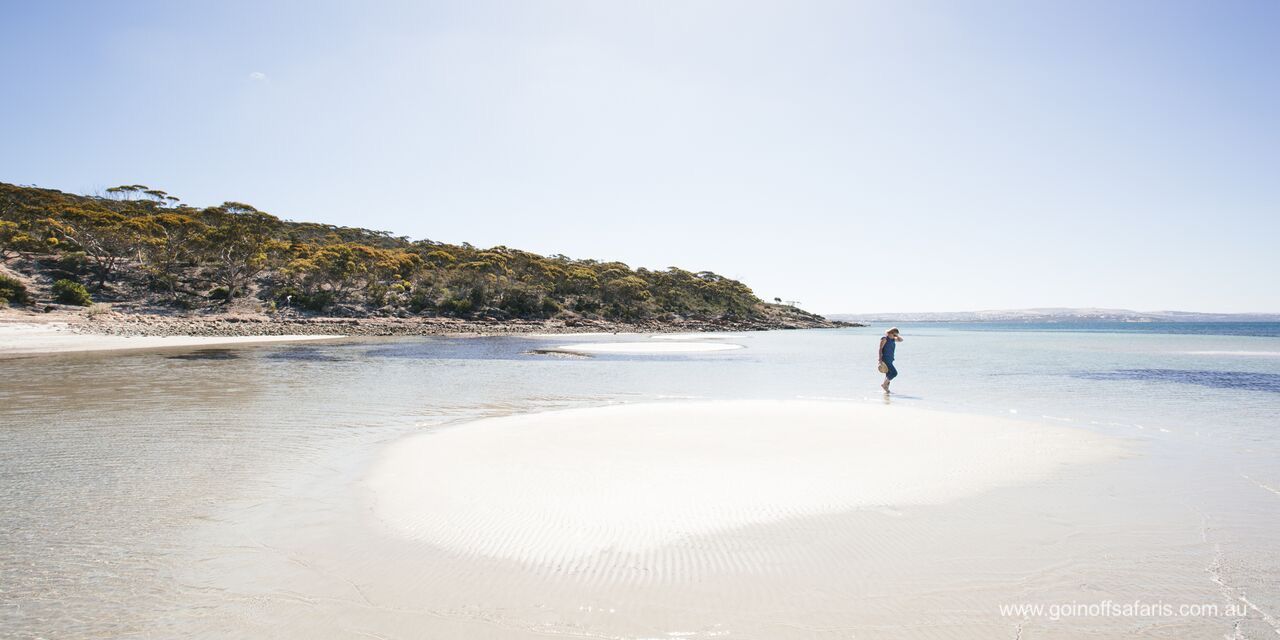 Exceptional Port Lincoln, Seafood and Wildlife Tour