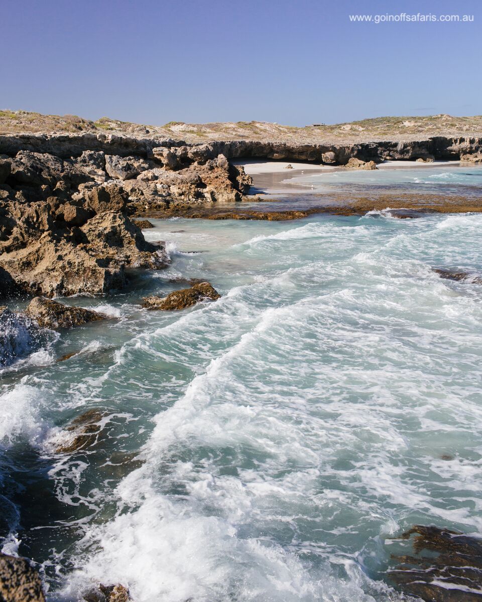 Exceptional Port Lincoln, Seafood and Wildlife Tour