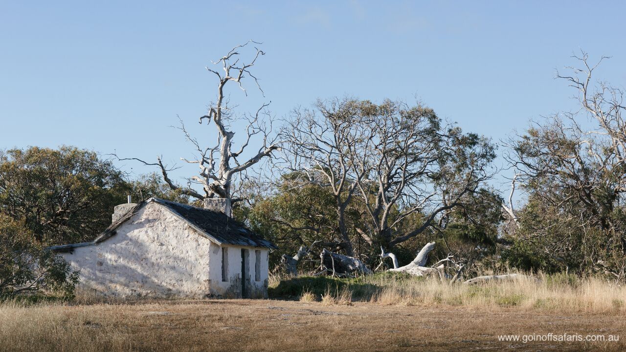 Exceptional Port Lincoln, Seafood and Wildlife Tour