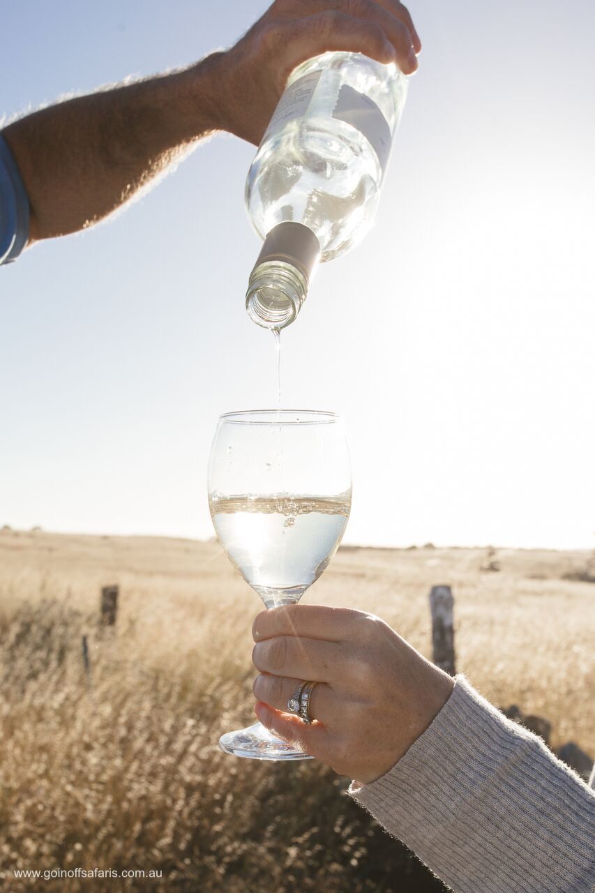 Exceptional Port Lincoln, Seafood and Wildlife Tour