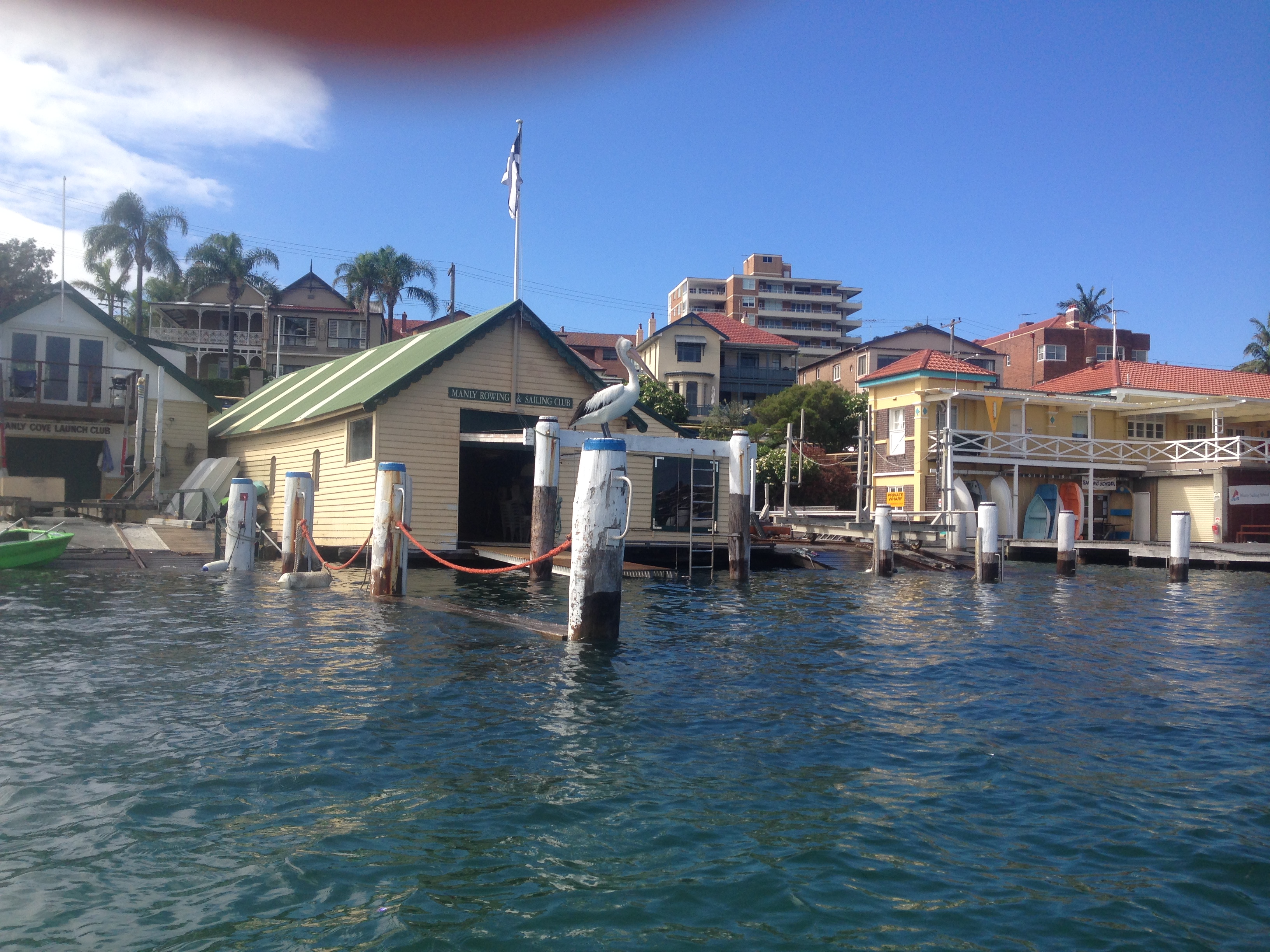 Manly Friday Night Cruise