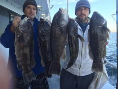 STARTING October 11   7am - 3pm FULL DAY BLACKFISHING out of PORT JEFFERSON