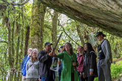 September 12 day Tour - International Hobbits Day (Double) 