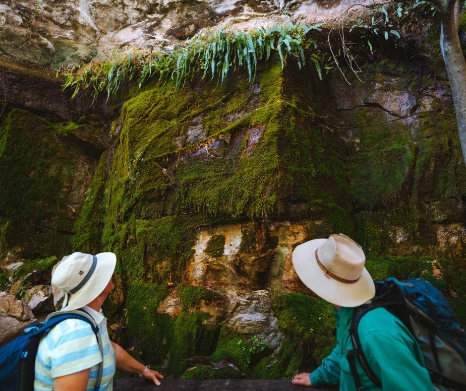 Carnarvon Gorge Walking Adventure
