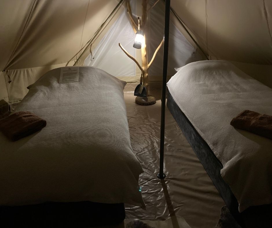 Carnarvon Gorge Walking Adventure