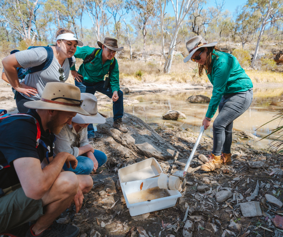 Eco-Discovery Adventure