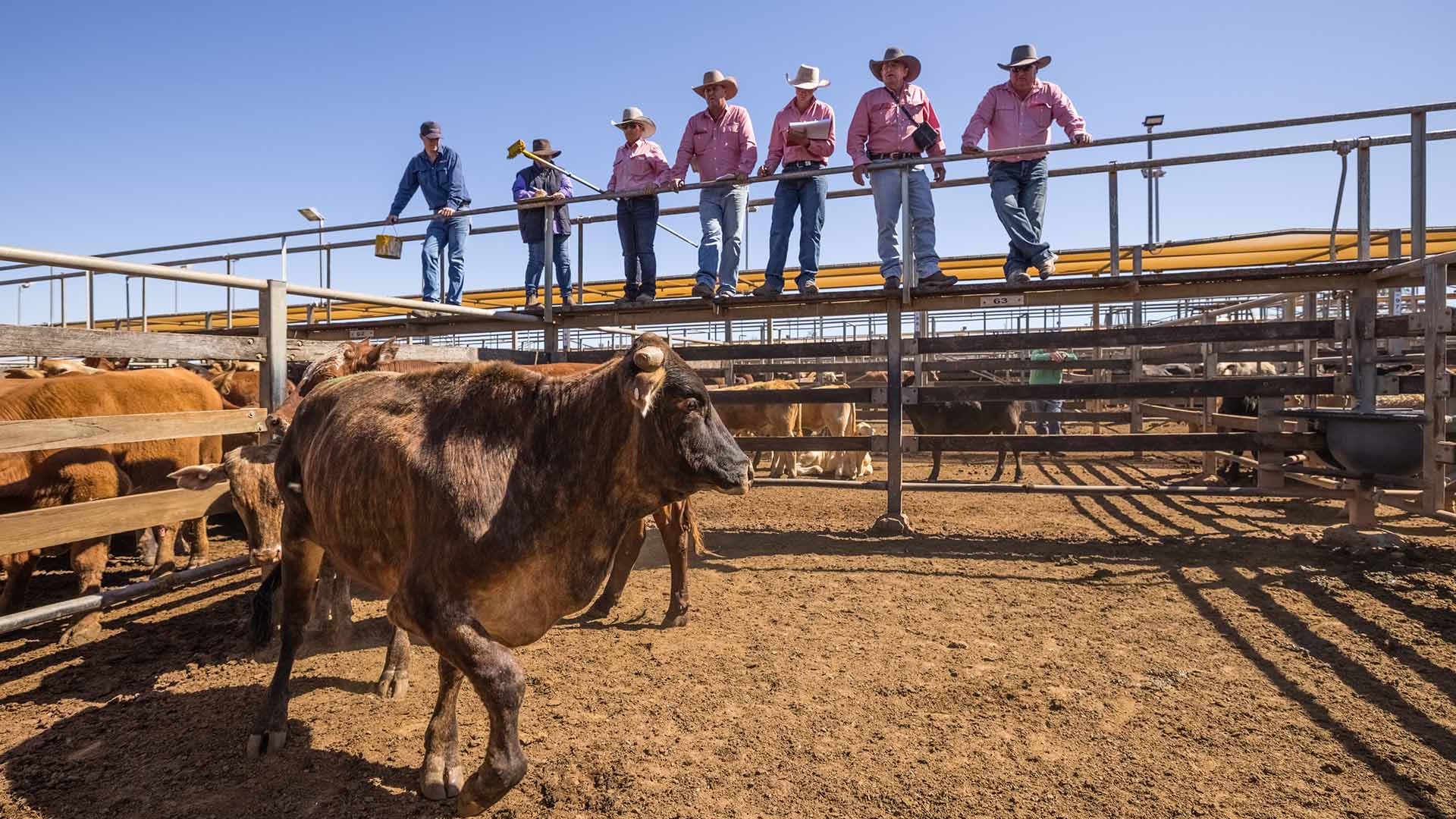 Landscape and Legacy in Roma