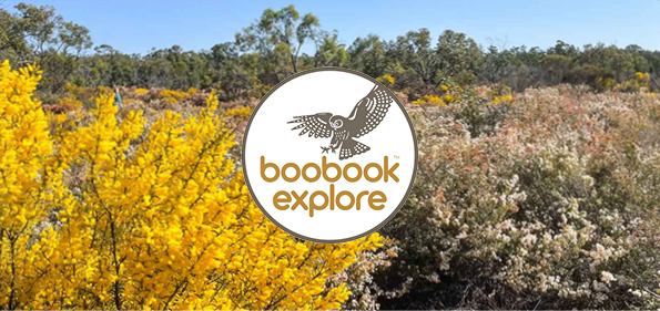 Boobook Explore Gift Voucher – $300