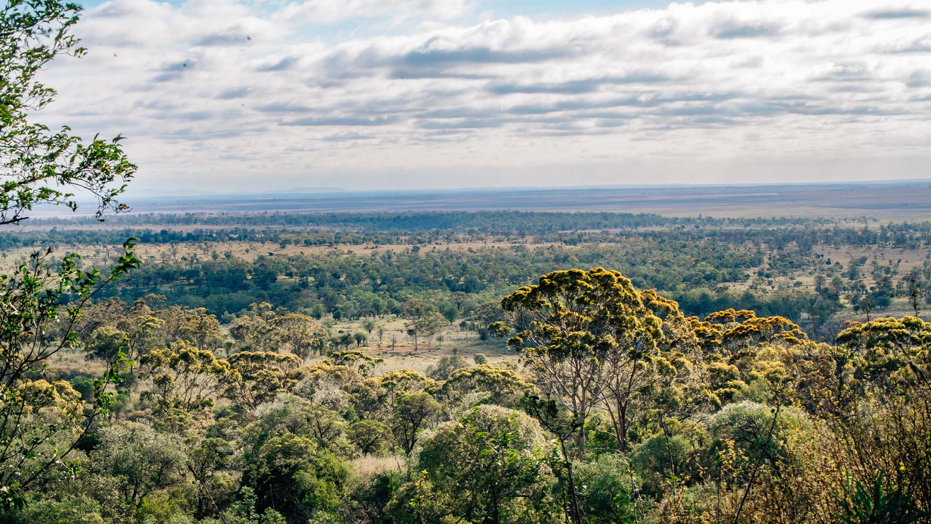 Landscape and Legacy in Roma