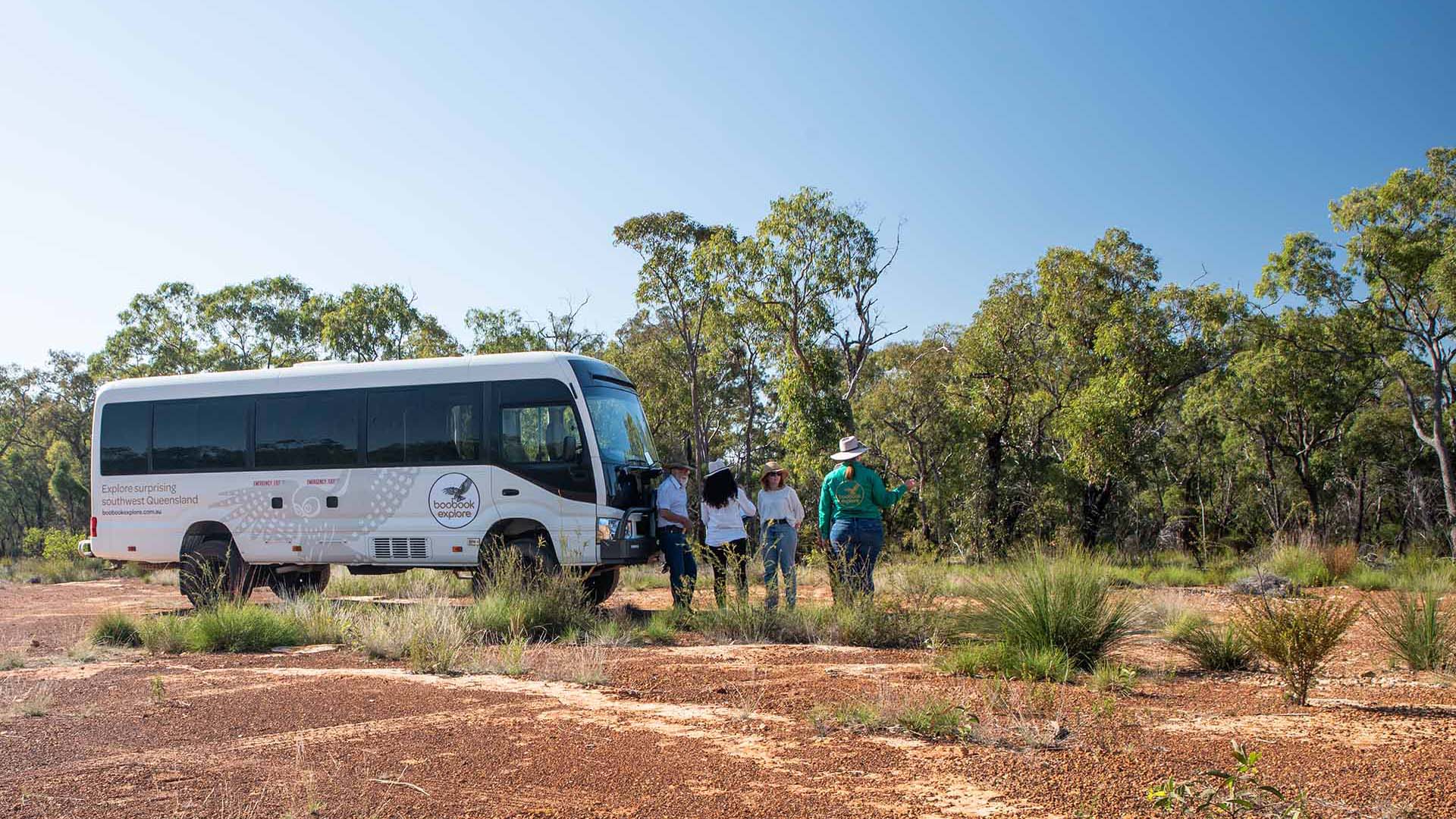 Wildflower Wonderland