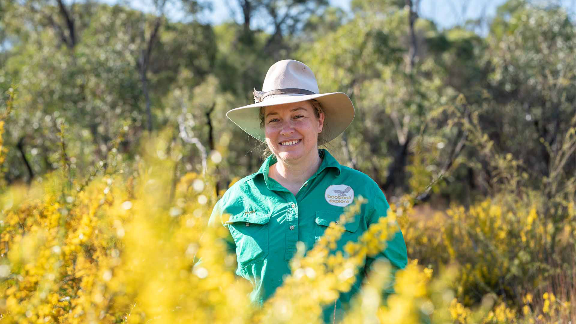 Wildflower Wonderland