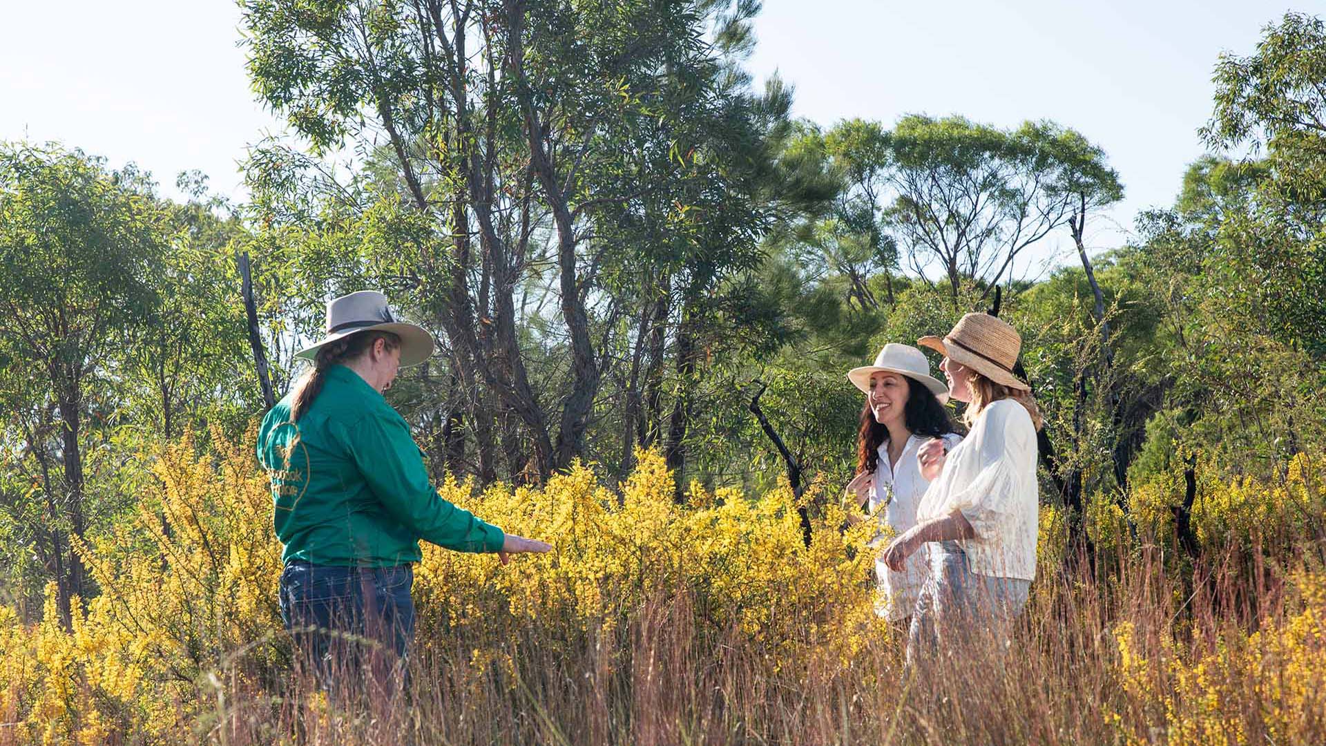Wildflower Wonderland