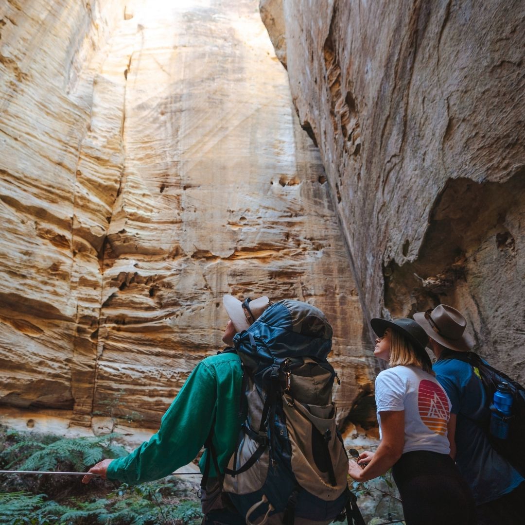 Carnarvon Gorge Walking Adventure