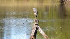 Guided Nature Trail in Roma