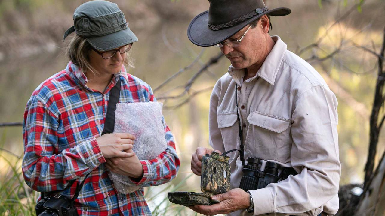 Carnarvons BioBlitz Expedition