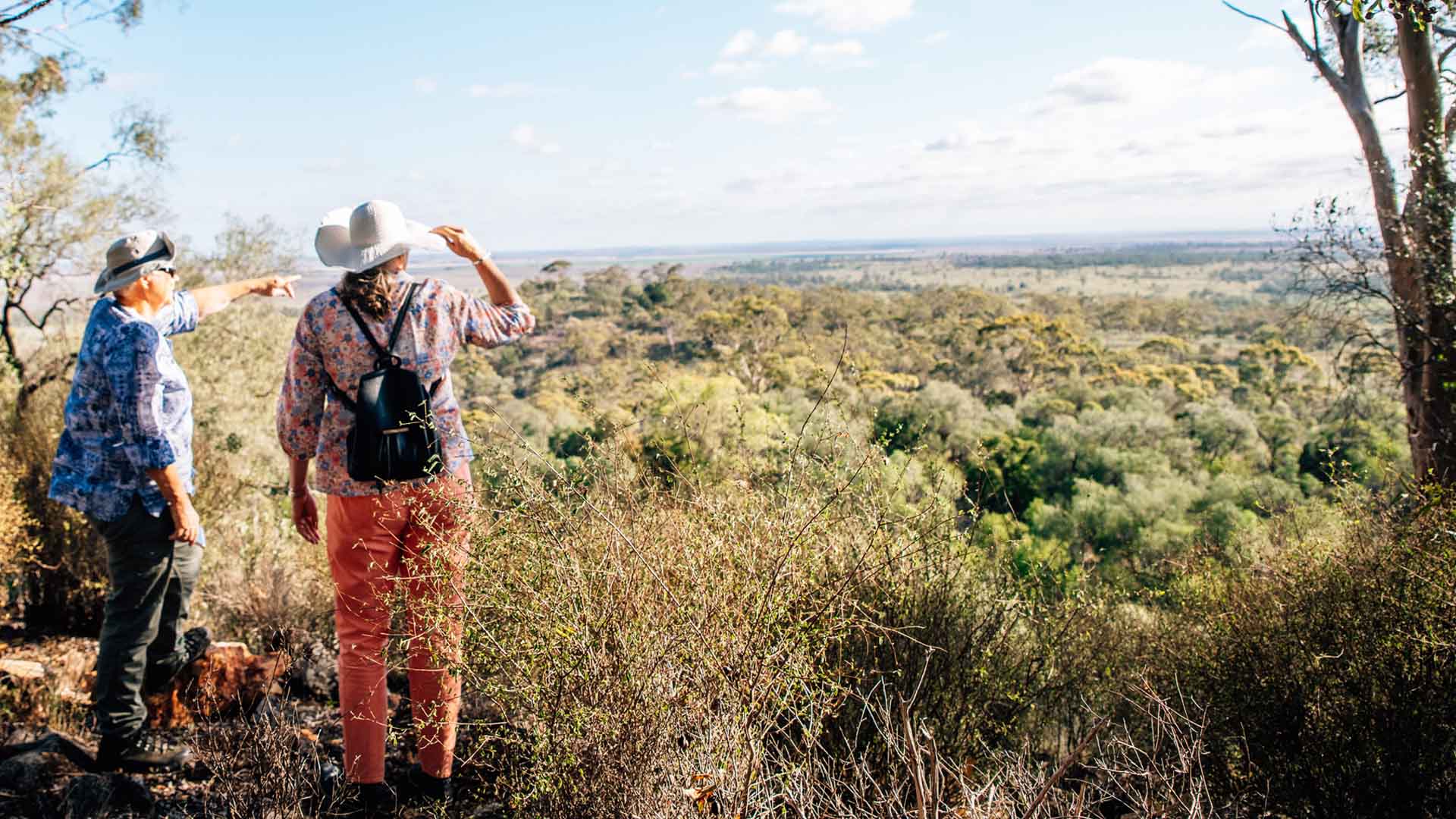 Landscape and Legacy in Roma