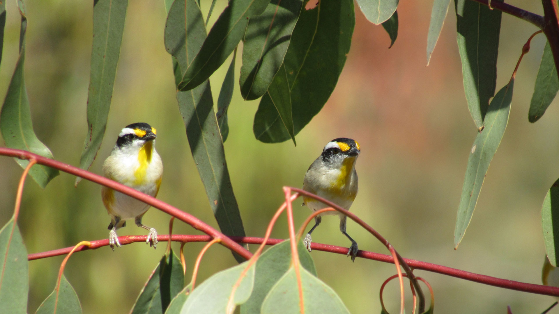 Roma-Carnarvon Photography Retreat