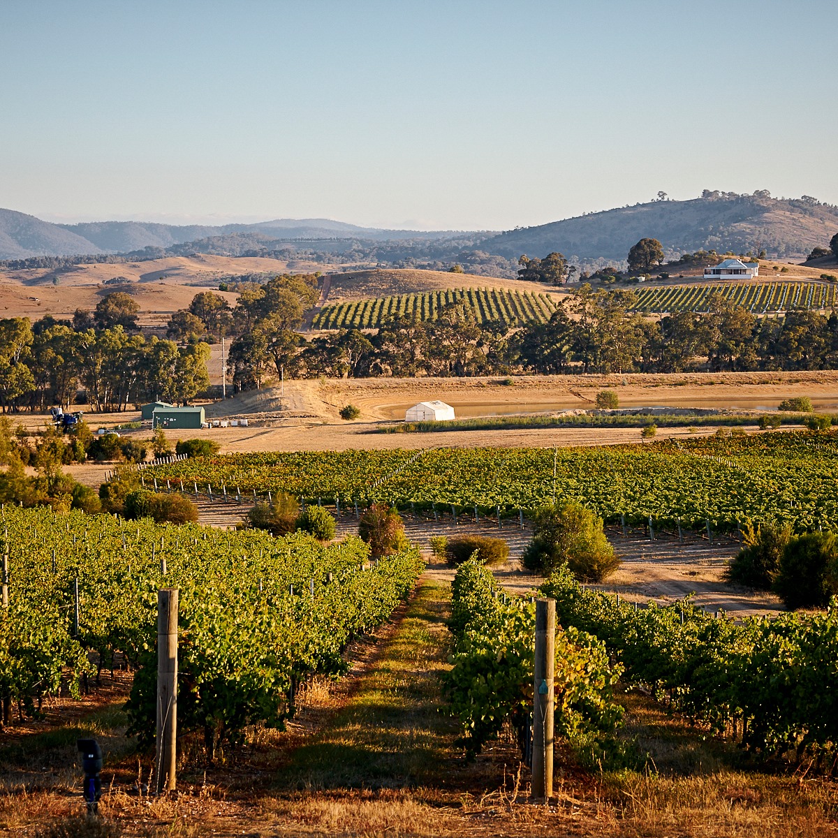 The Pyrenees Vineyards