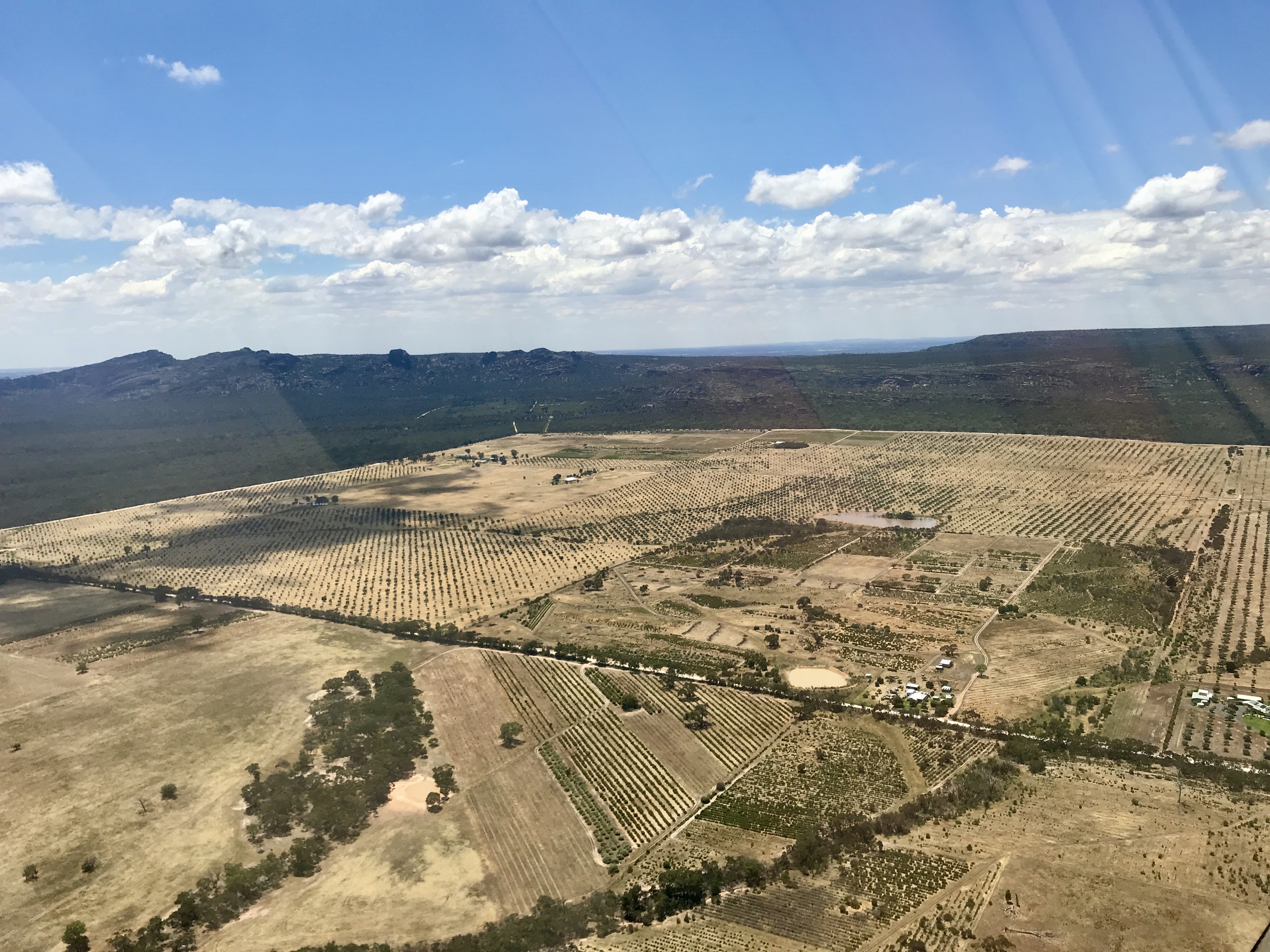 Heli Lunch: Grampians Olive Co