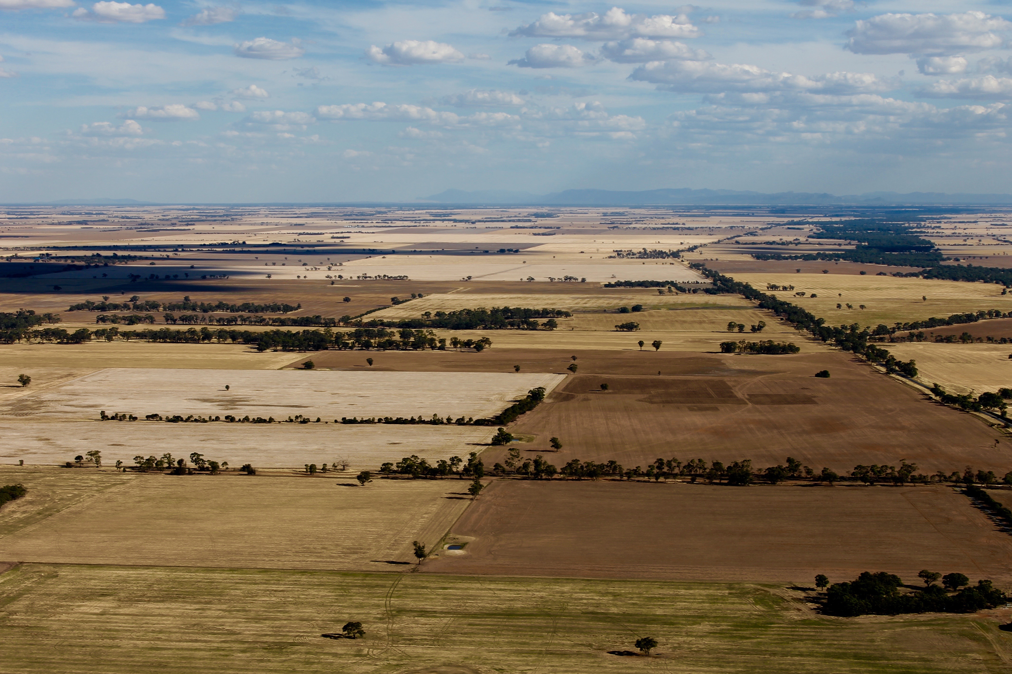 Silo Art Flight
