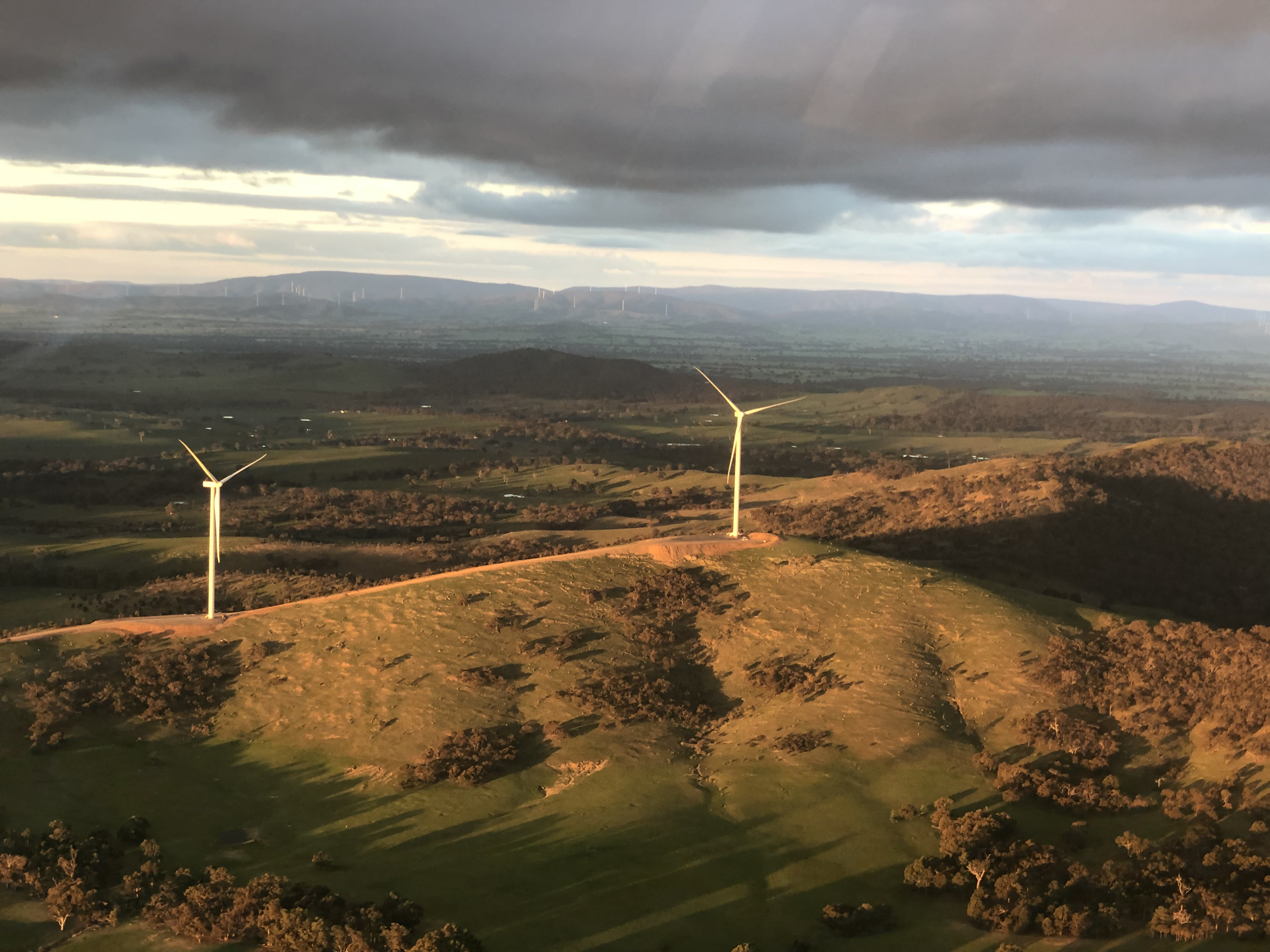 The Pyrenees Vineyards