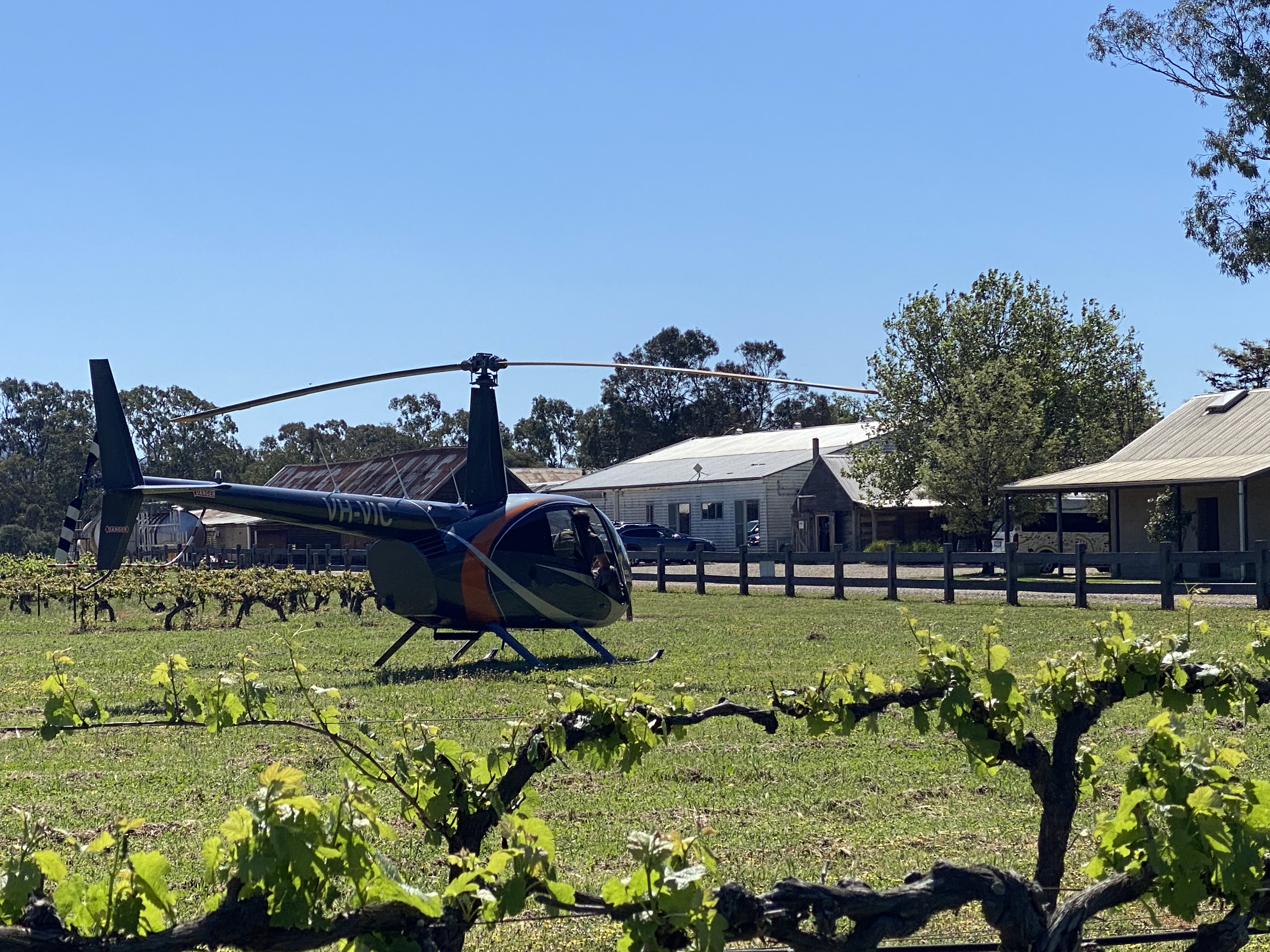 Heli Wine Picnic