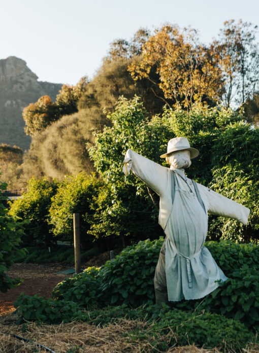 Heli Lunch: Royal Mail Parker Street Dunkeld