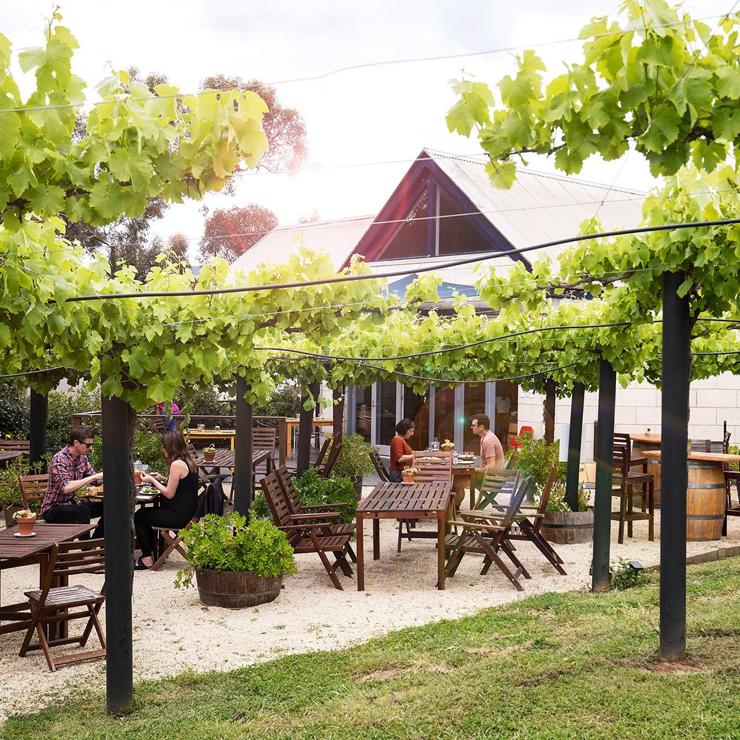 The Pyrenees Vineyards